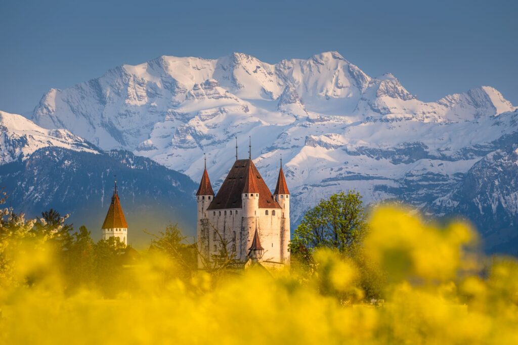 Une photo d'un château, avec des montagnes enneigées en arrière-plan.